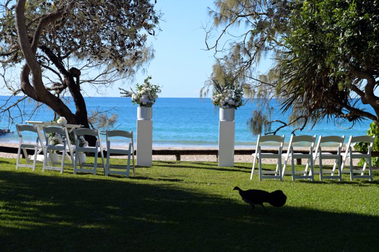 wedding plinths sunsine coast