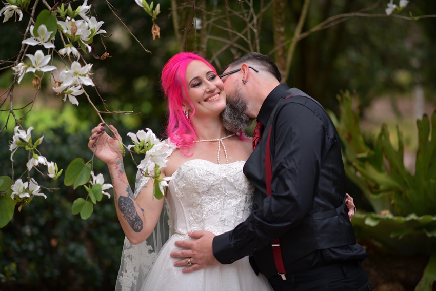 lovely location at Noosa botanic gardens elopement beautiful day
