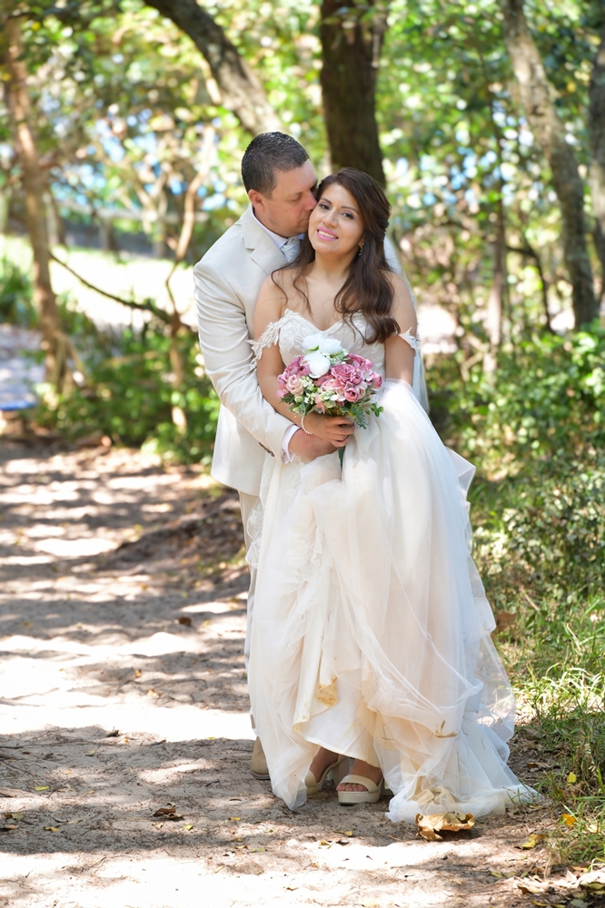 natural photo in the woods